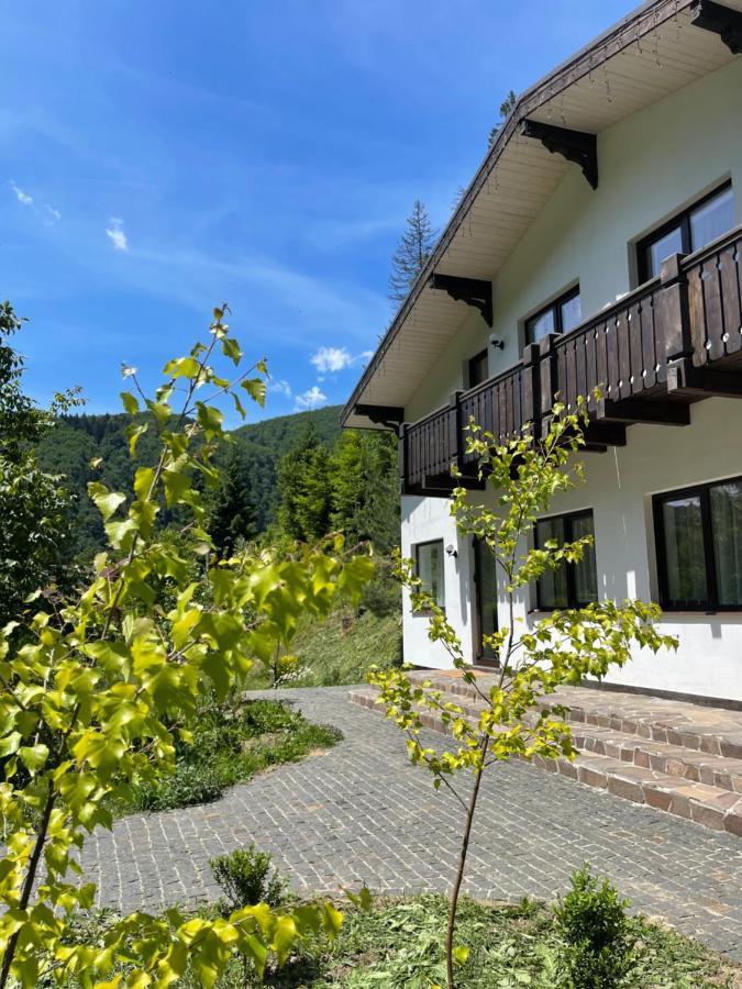 Cottage house Mizhhirya  Exteriör bild