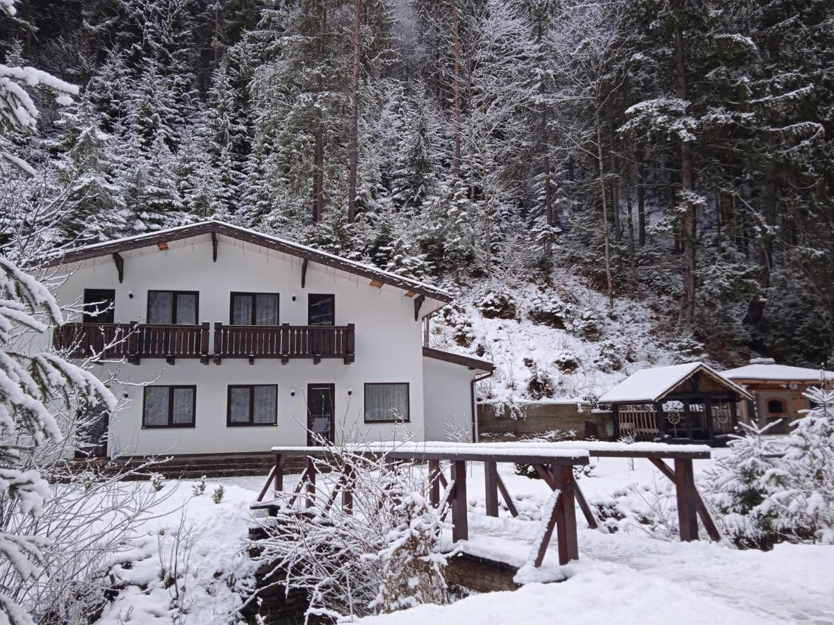 Cottage house Mizhhirya  Exteriör bild