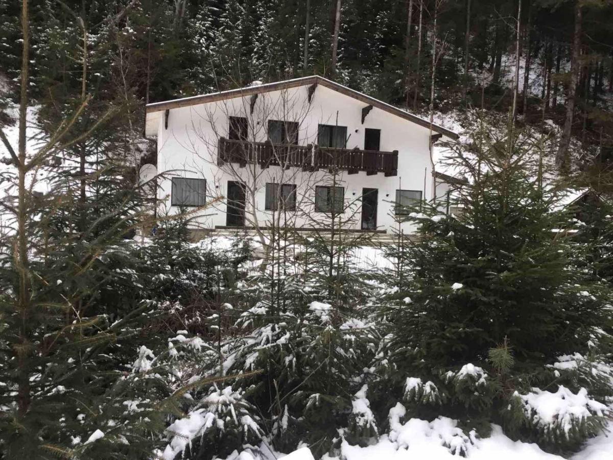 Cottage house Mizhhirya  Exteriör bild