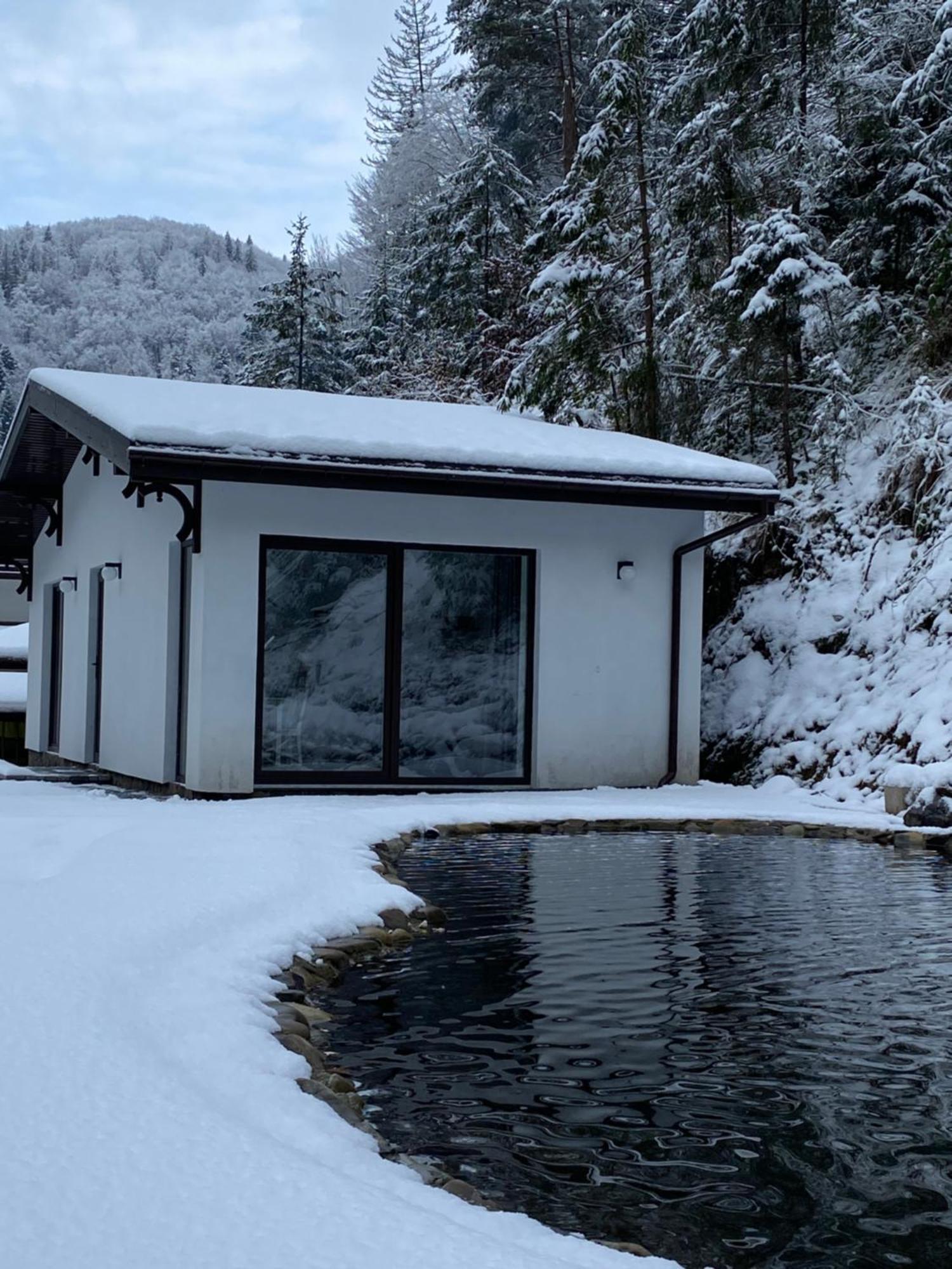 Cottage house Mizhhirya  Exteriör bild