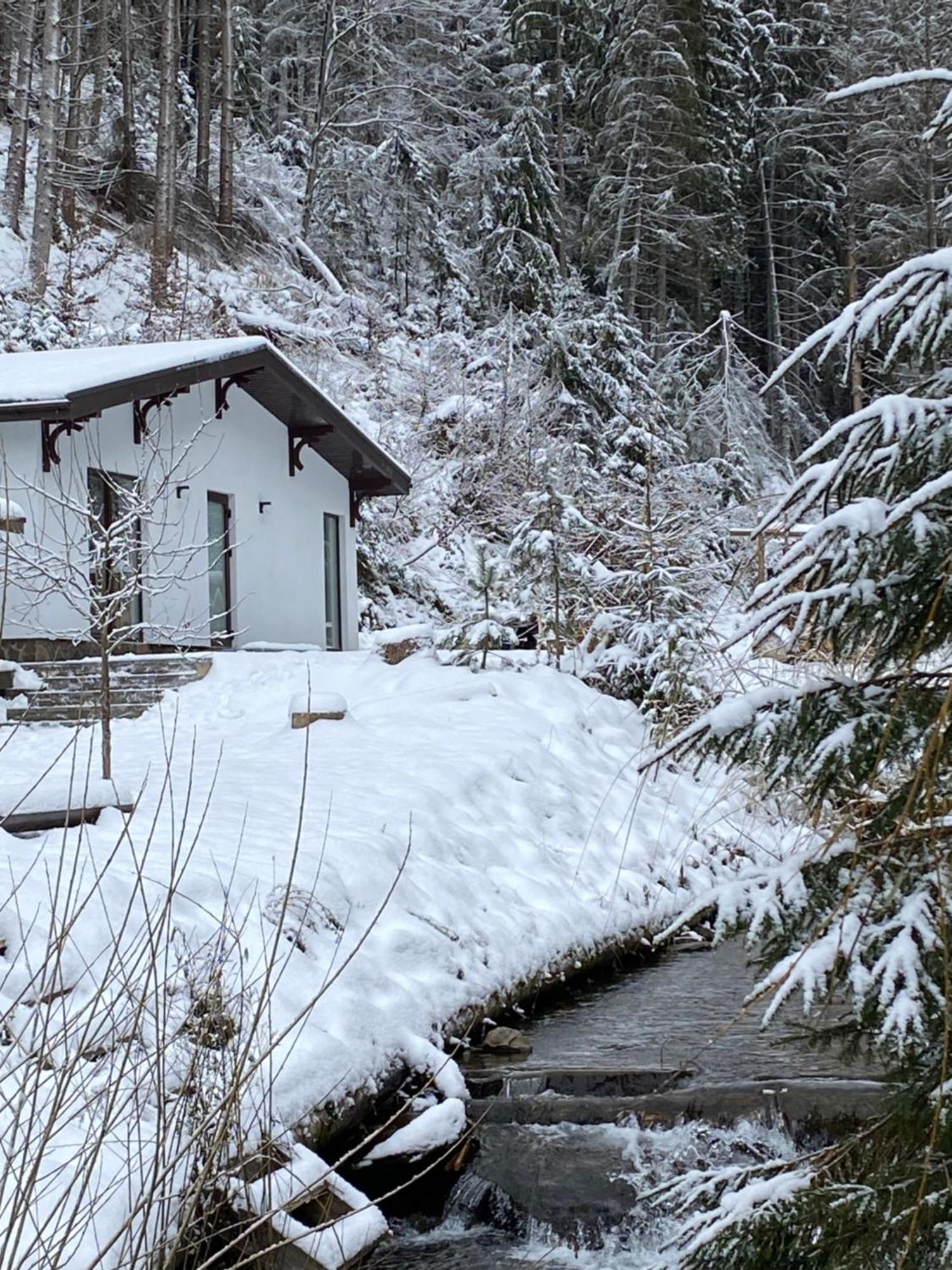 Cottage house Mizhhirya  Exteriör bild